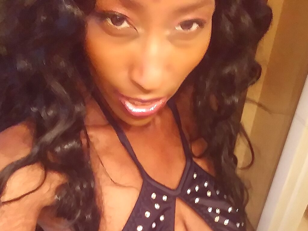 BustyBaddie nude cam model profile photo