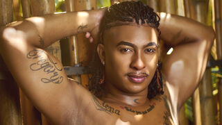 LeoCooper 33 male strip cam model profile